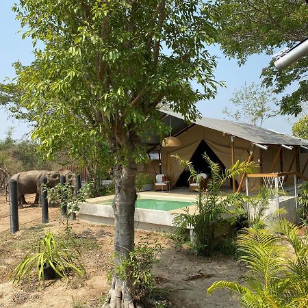 Elephant View Camp Ban Huai Thawai Exterior foto