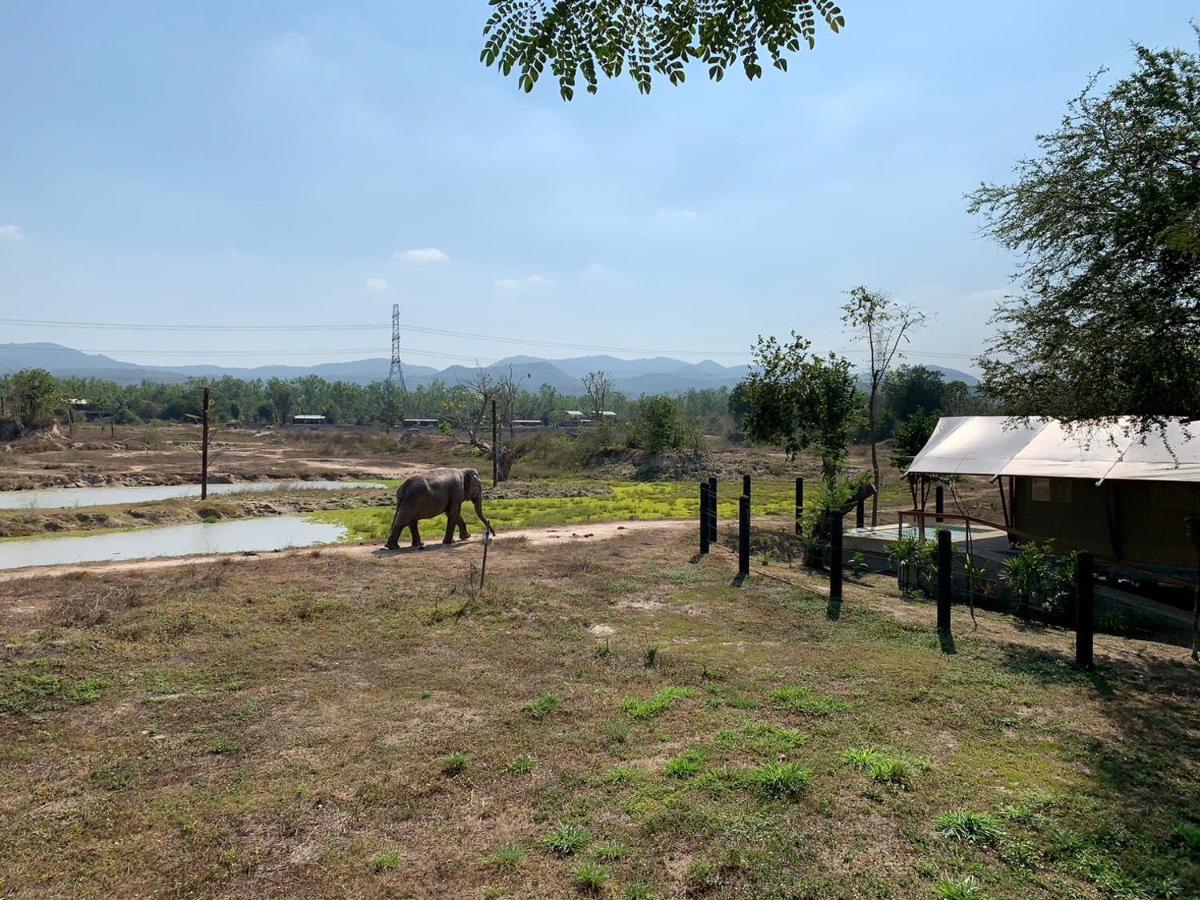 Elephant View Camp Ban Huai Thawai Exterior foto