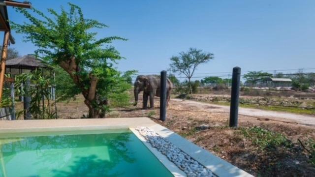 Elephant View Camp Ban Huai Thawai Exterior foto